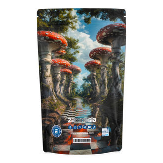 Zammi in Wonderland Z-Lock Stash Bag (Extra Groot)