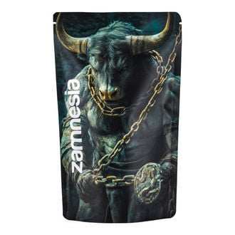 Mythical Creatures Z-Lock Gripzakken (Extra Large)