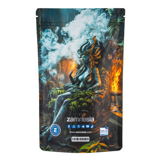 Medusa Z-Lock Stash Bags (Extra Large)