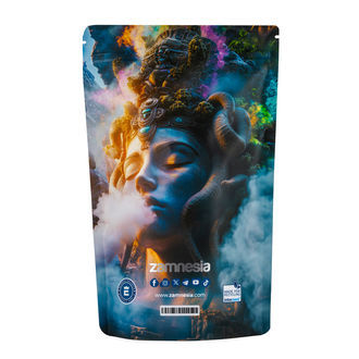 Medusa Z-Lock Stash Bags (Extra Large)