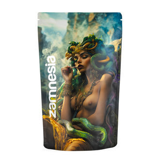 Medusa Z-Lock Stash Bags (Extra Large)