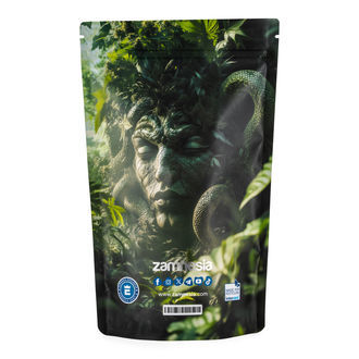 Medusa Z-Lock Stash Bags (Extra Large)