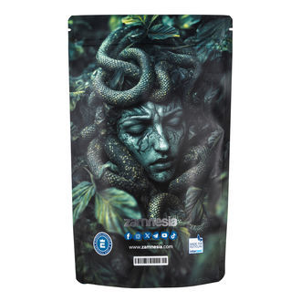 Medusa Z-Lock Stash Bags (Extra Large)