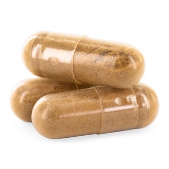 Lion's Mane Paddenstoel Capsules (Zamnesia)