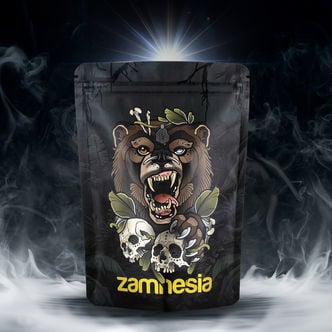 TRIBE Treasure Pack 'Roaring Bear'