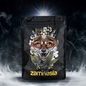 TRIBE Treasure Pack "Scouting Fox" USA