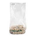 Zamnesia Ready-2-Grow Bag 'Enigma'