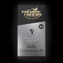 Auto Collection Pack 1 (Paradise Seeds) feminized