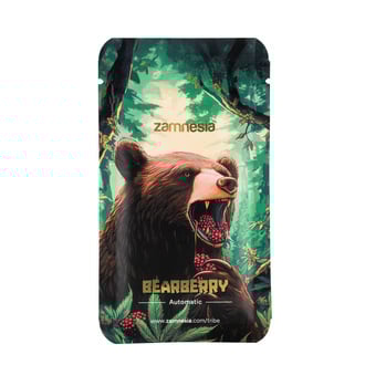 Bearberry Automatic (Zamnesia Seeds) Feminized
