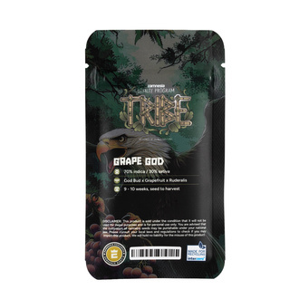 Grape God Automatic (Zamnesia Seeds) feminized