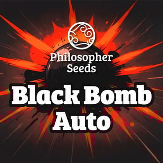 Black Bomb Auto (Philosopher Seeds) Feminized