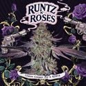 Runtz N' Roses (T.H.Seeds) Feminized