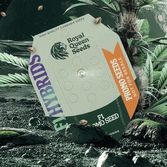 Gratis F1 Hybride Autoflower Zaadje (Royal Queen Seeds)