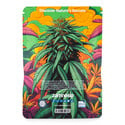In-Di-Couch Indica Pack - Automatic Strains