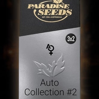 Auto Collection Pack 2 (Paradise Seeds) Feminized