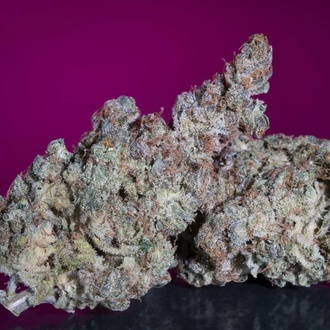 White Noise (Paradise Seeds) Feminized