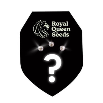 Automatic Mysterie Zaden 3 (Royal Queen Seeds)