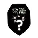 Autoflower Mystery Zaden 5 (Royal Queen Seeds)
