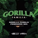 Gorilla Family Mix (BSF Seeds) Feminized