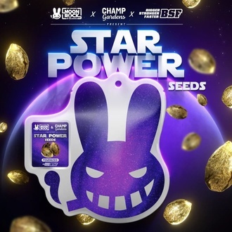 Star Power (BSF Seeds x Moon Rock) Feminized