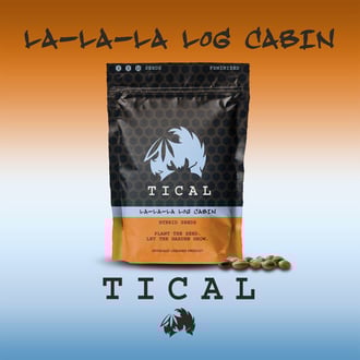 La-La-La Log Cabin (TICAL) Feminized