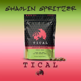 Shaolin Spritzer (TICAL) Feminized