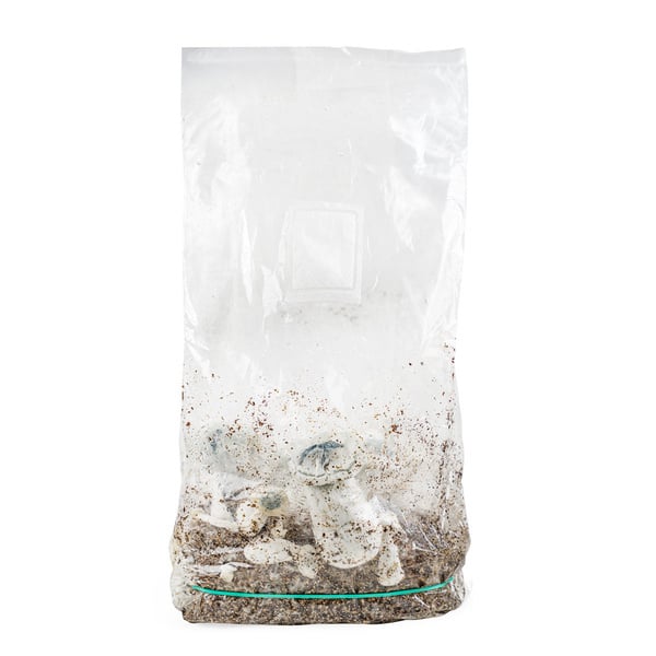 Zamnesia Ready-2-Grow Bag 'APE'