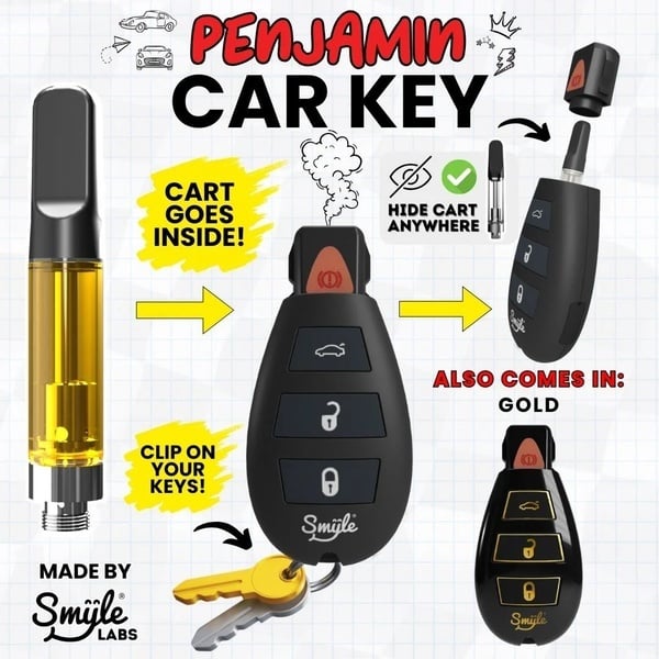 Car Key Penjamin (Smyle Labs)