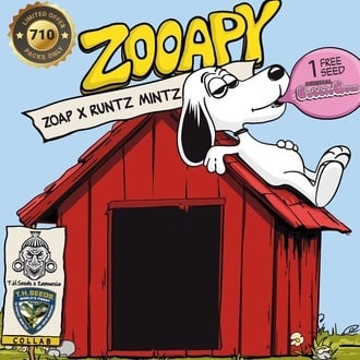 Zooapy (T.H. Seeds) Feminized