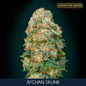 Afghan Skunk (Advanced Seeds) feminized