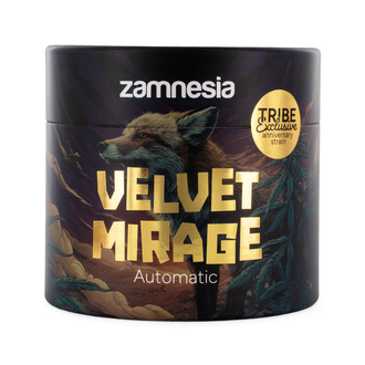 Velvet Mirage Automatic (Zamnesia Seeds) - 4 gefeminiseerde Zaden + Grinder