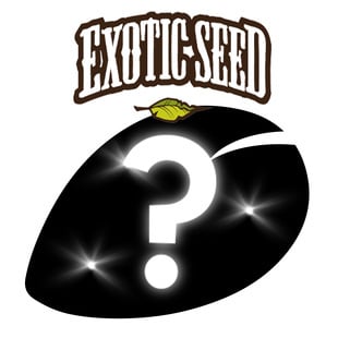 Automatic Mysterie Zaden 1 (Exotic Seed)