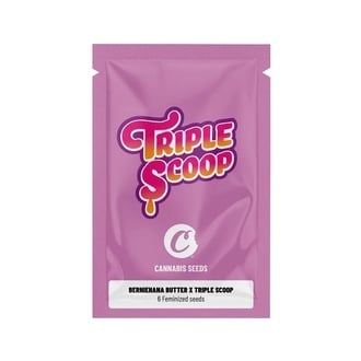 Berniehana Butter x Triple Scoop (Cookies) Feminized