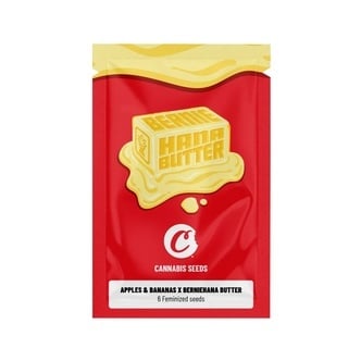 Apples & Bananas x Berniehana Butter (Cookies) Feminized