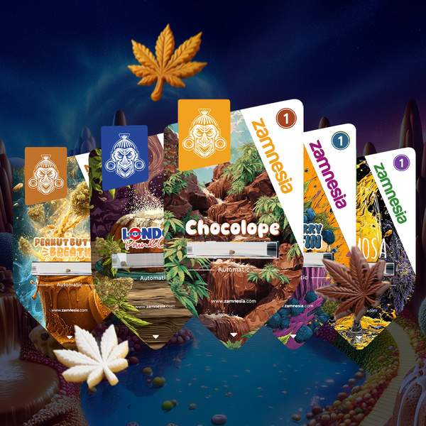 Sugar Valley Automatic bundle (Zamnesia Seeds) Feminized