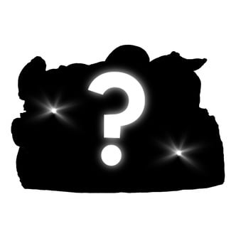 Paddo Mystery Kweekset (Zamnesia)