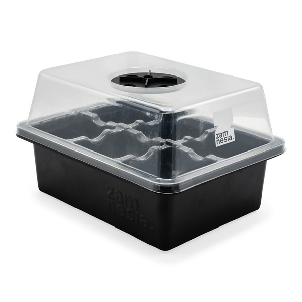 Zaadontkiemingsset (Zamnesia)