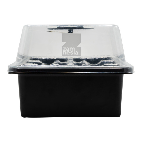 Zaadontkiemingsset (Zamnesia)