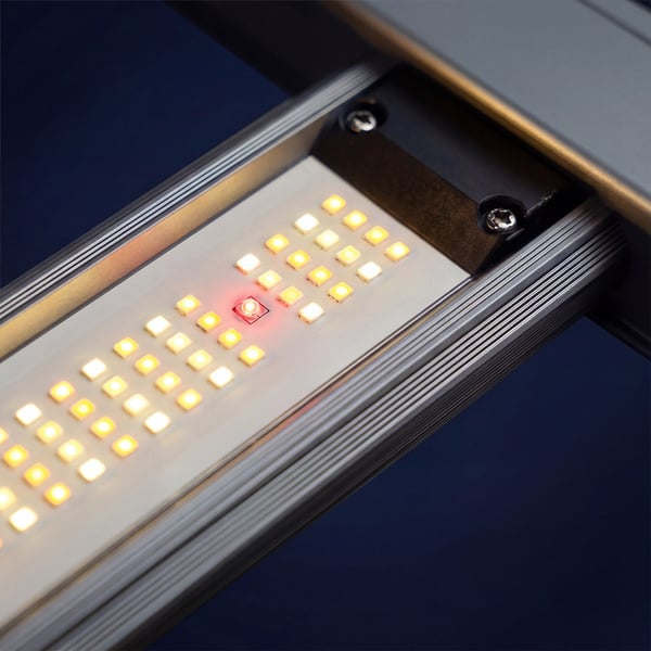 Phytonaut LED-kweeklamp 240 W (Zamnesia)