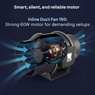 Buisventilator (Zamnesia)