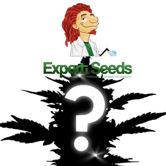 Feminized Mysterie Zaden 1 (Expert Seeds)