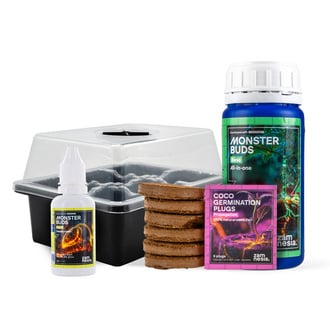 Feminized Startpakket