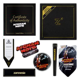 Afghan Noir (Zamnesia Seeds x Expert Seeds) Feminized