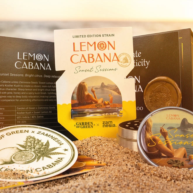 Lemon Cabana strain van Zamnesia Seeds x Garden of Green