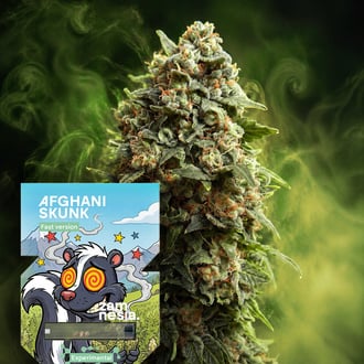 Afghani Skunk Fast Version (Zamnesia Seeds) feminized
