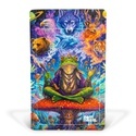 Psychedelic Dreams Z-Lock Stashzak (Extra Large)