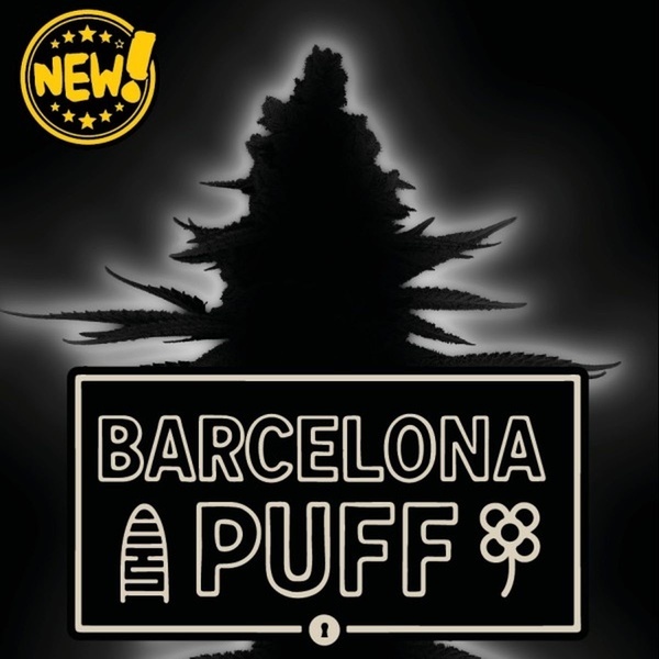 Barcelona Puff Auto (Seedstockers) Feminized