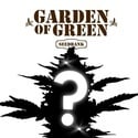 CBD Mystery Zaad 1 (Garden of Green)