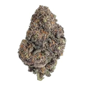 Papayton (Fast Buds) Feminized