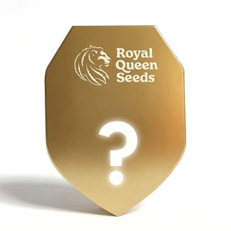 Autoflower F1 Mysterie Zaden 3 (Royal Queen Seeds)